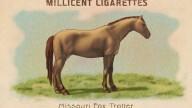 RDR2 CigaretteCards Horses MissouriFoxTrotter