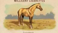 RDR2 CigaretteCards Horses TurkomanHorse