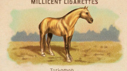 RDR2 CigaretteCards Horses TurkomanHorse