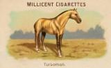 RDR2 CigaretteCards Horses TurkomanHorse