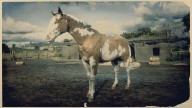 RDR2 Horses AmericanPaintHorse OveroAmericanPaintHorse