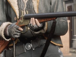 RDR2 RedDeadOnline 015