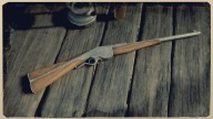 RDR2 Weapon EvansRepeater 1