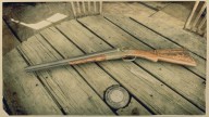 RDR2 Weapon RareShotgun 1