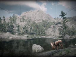RDR2 Camera Photography SocialClub 2