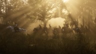 RDR2 Forest Landscape 3