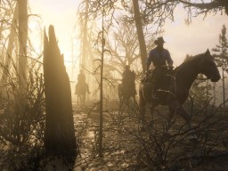 RDR2 Forest Landscape 4
