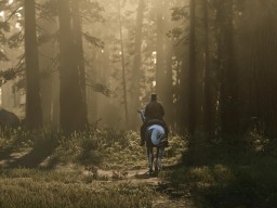 RDR2 Forest RidingAlone