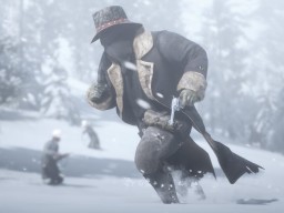 RDR2 RedDeadOnline 025