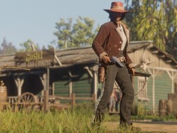 RDR2 RedDeadOnline 026