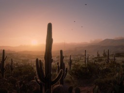 RDR2 ChollaSprings NewAustin JohnM