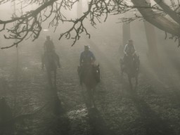 RDR2 Forest Riding