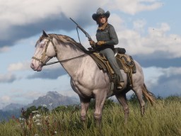 RDR2 Online AndalusianHorse PerlinoAndalusianHorse