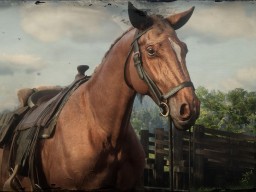 RDR2 Online GettingStarted Horse