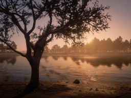 RDR2 ClemensPoint Lemoyne M1ssAshleex