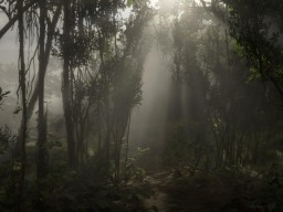 RDR2 Guarma Dakina