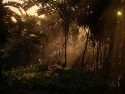 RDR2 Guarma DrewBarnes