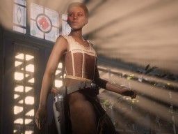 RDR2 RedDeadOnline 30