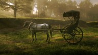 RDR2 Vehicle HorseCart Buggy 2