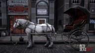 Buggy (Horse Cart)