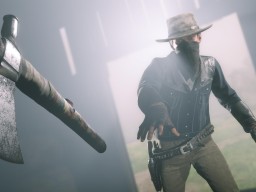 RDR2 RedDeadOnline 35