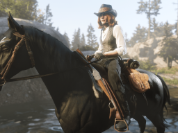 RDR2 RedDeadOnline 40