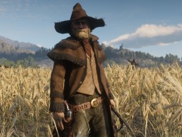 RDR2 RedDeadOnline 43