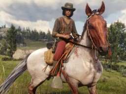 RDR2 RedDeadOnline 45