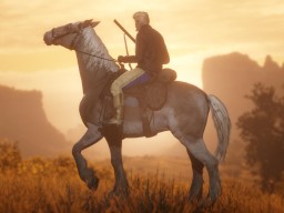 RDR2 RedDeadOnline 48