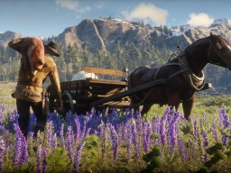 RDR2 RedDeadOnline 63
