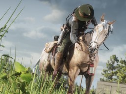 RDR2 RedDeadOnline 67