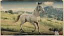 Rd r2 horses andalusian horse perlino andalusian horse 1 4097 360