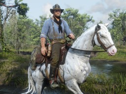 RDR2 PC 07