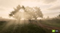 RDR2 PC 10