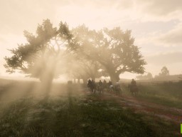 RDR2 PC 10