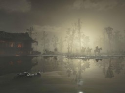 RDR2 PC 14