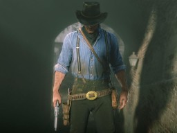 RDR2 PC 16