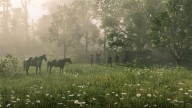 RDR2 PC 20