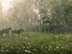 RDR2 PC 20