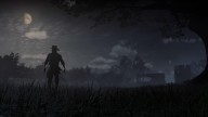 RDR2 PC 21