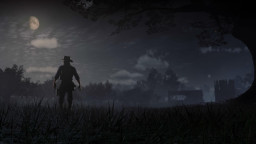 RDR2 PC 21