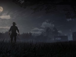 RDR2 PC 21
