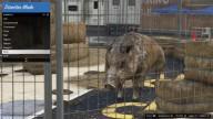 GTA5 Animals Boar 1 DirectorMode