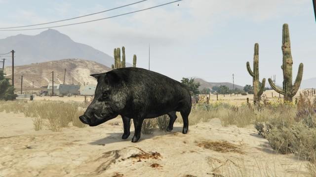 GTA5 Animals Boar PeyotePlant