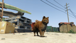GTA5 Animals Cat PeyotePlant