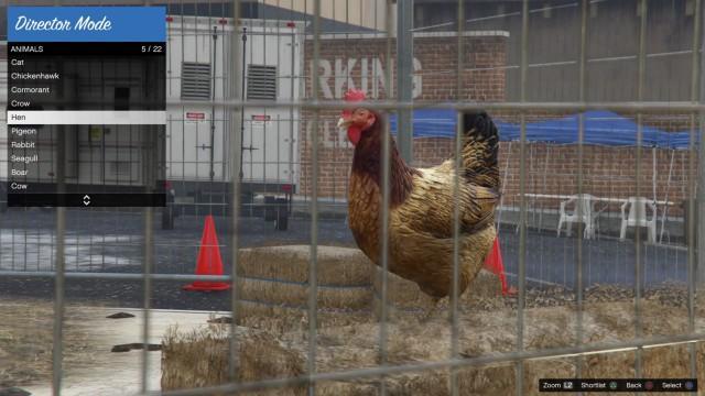 GTA5 Animals Chicken DirectorMode