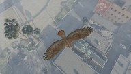 GTA5 Animals Chickenhawk PeyotePlant