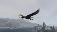 GTA5 Animals Cormorant PeyotePlant