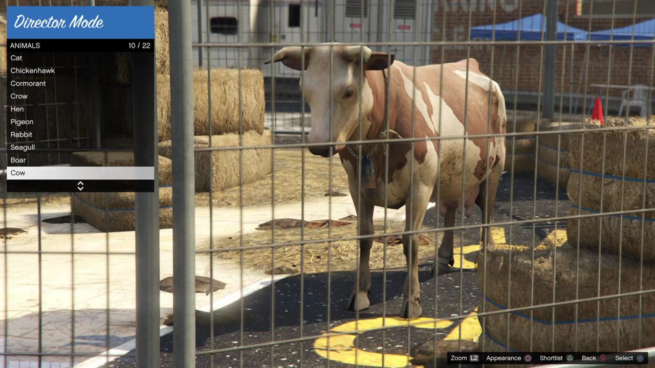 Cow | GTA 5 Animals, How To Play & Where To Find