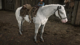 RDR2 Horses Appaloosa FewSpotsAppaloosa